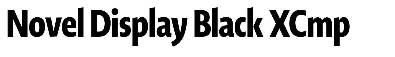 Novel Display Black XCmp